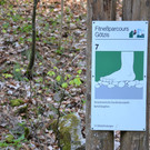 DSC_0205.JPG