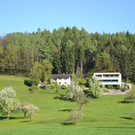 DSC_0204.JPG