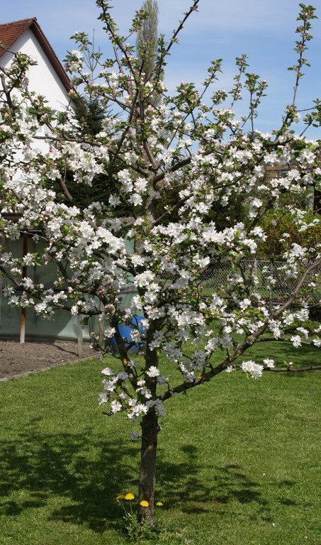 Fr__hling SPAZIERGANG 2014 _3_.JPG