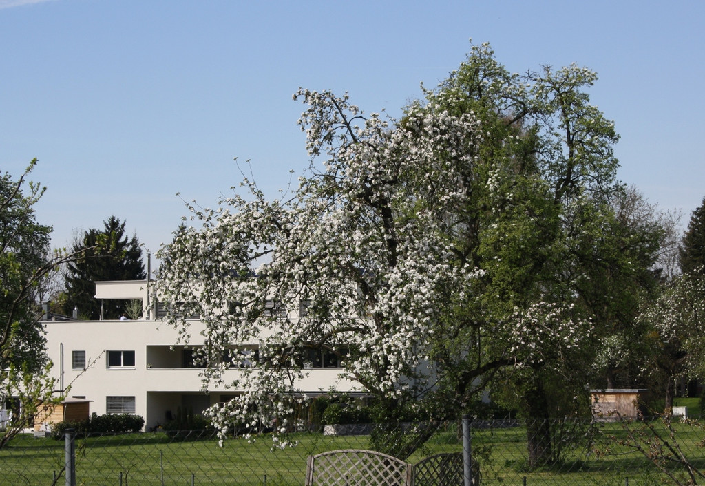 Fr__hling SPAZIERGANG 2014 _9_.JPG