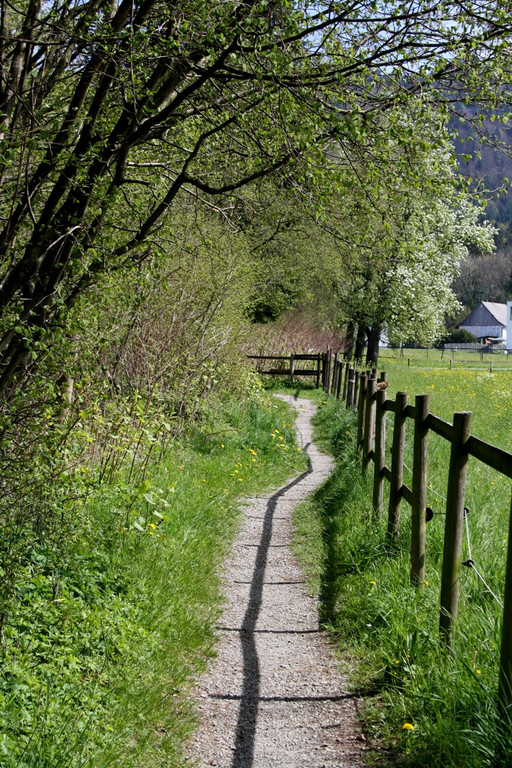 Fr__hling SPAZIERGANG 2014 _11_.JPG