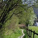 Fr__hling SPAZIERGANG 2014 _11_.JPG