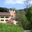 Fr__hling SPAZIERGANG 2014 _12_.JPG
