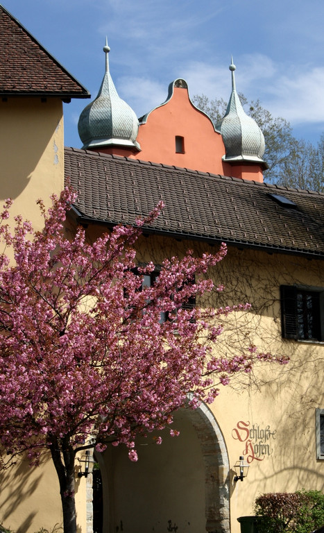 Fr__hling SPAZIERGANG 2014 _13_.JPG