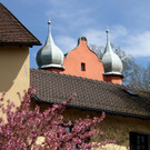 Fr__hling SPAZIERGANG 2014 _13_.JPG