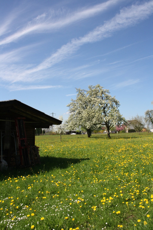 Fr__hling SPAZIERGANG 2014 _18_.JPG
