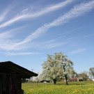 Fr__hling SPAZIERGANG 2014 _18_.JPG