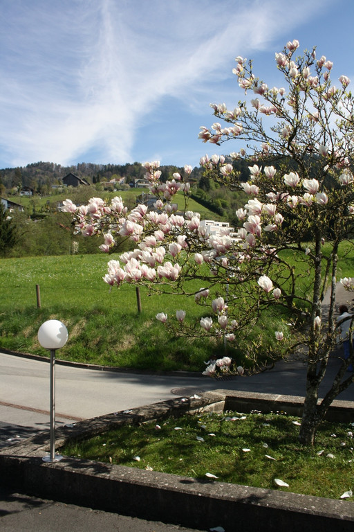 Fr__hling SPAZIERGANG 2014 _20_.JPG
