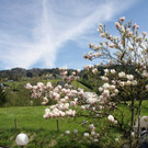 Fr__hling SPAZIERGANG 2014 _20_.JPG