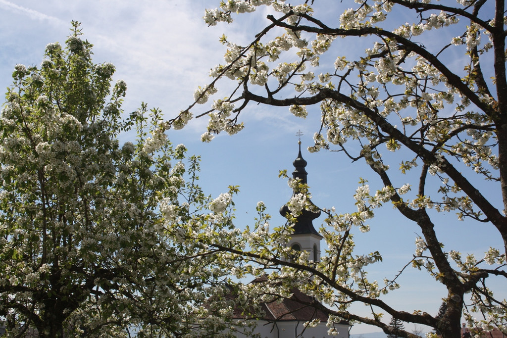 Fr__hling SPAZIERGANG 2014 _24_.JPG