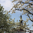 Fr__hling SPAZIERGANG 2014 _24_.JPG
