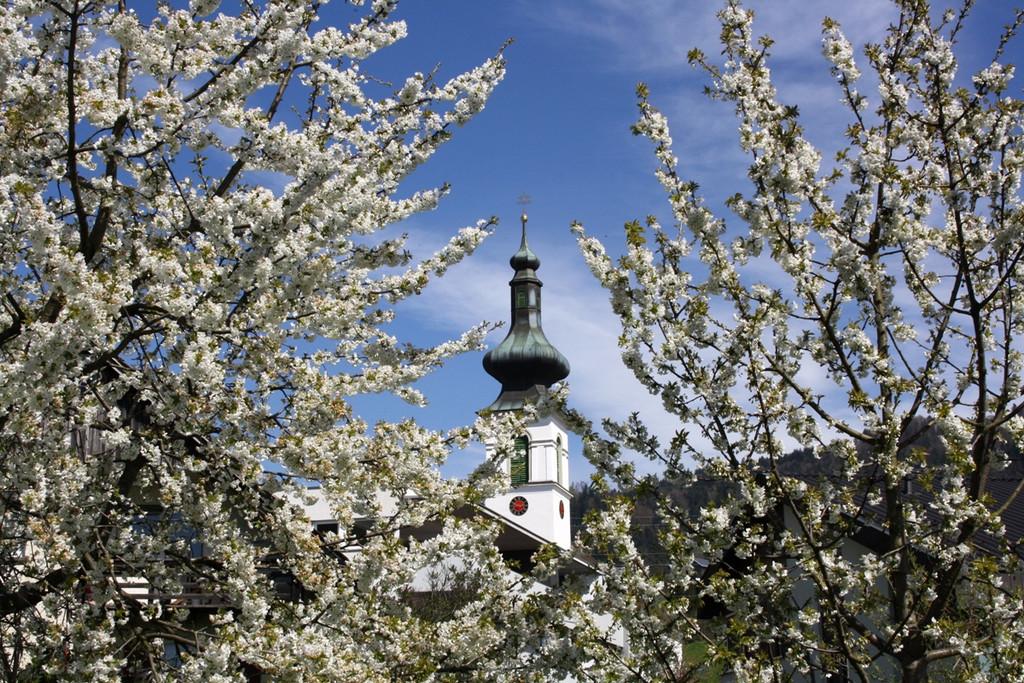 Fr__hling SPAZIERGANG 2014 _27_.JPG