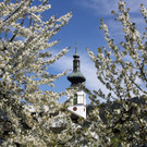 Fr__hling SPAZIERGANG 2014 _27_.JPG