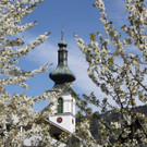 Fr__hling SPAZIERGANG 2014 _28_.JPG