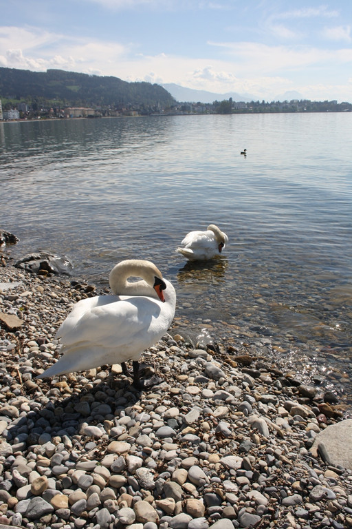 Fr__hling SPAZIERGANG 2014 _34_.JPG