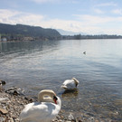 Fr__hling SPAZIERGANG 2014 _34_.JPG