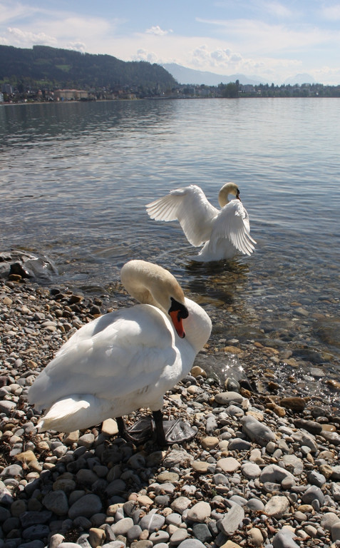 Fr__hling SPAZIERGANG 2014 _35_.JPG