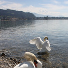 Fr__hling SPAZIERGANG 2014 _35_.JPG