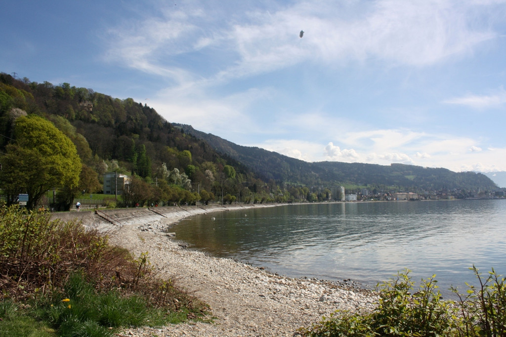 Fr__hling SPAZIERGANG 2014 _32_.JPG