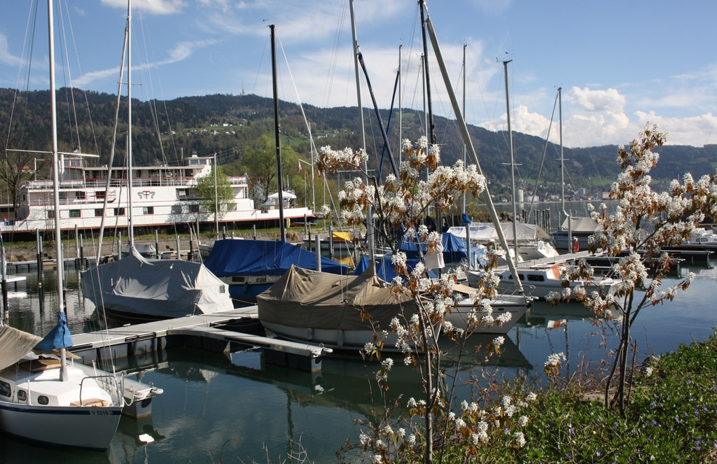Fr__hling SPAZIERGANG 2014 _43_.JPG