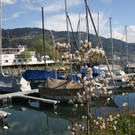 Fr__hling SPAZIERGANG 2014 _43_.JPG