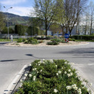 Fr__hling SPAZIERGANG 2014 _44_.JPG