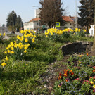 Fr__hling SPAZIERGANG 2014 _1_.JPG