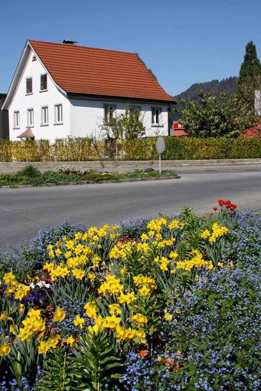 Fr__hling SPAZIERGANG 2014 _45_.JPG