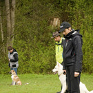 CFHF Club für Hunde-Freunde Junghund2