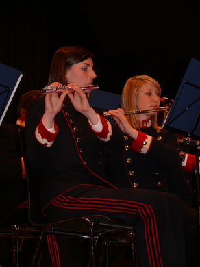 Musikverein III.JPG