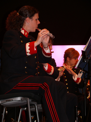 Musikverein IV.JPG