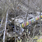 dc1-5tz4uzofb1hk0jz4f14_original.jpg