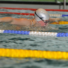 Kernbeiss Stefanie Schmetterling_JPG-1271082680