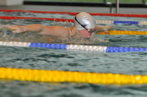 Kernbeiss Stefanie Schmetterling_JPG-1271082680