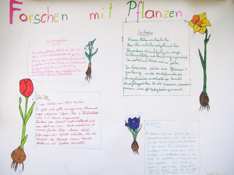 Lesetag_009.jpg