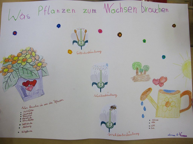 Lesetag_010.jpg