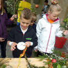 P1100797 _Medium_.JPG