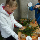 P1100803 _Medium_.JPG