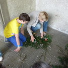 P1100804 _Medium_.JPG