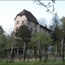 der Weinberg ist unterm Schloss