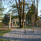 IMG_8892.jpg