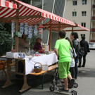 IMG_9245.jpg