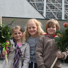 IMG_9181.jpg