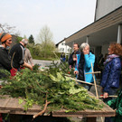 IMG_9186.jpg