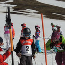 DSCN7602.jpg