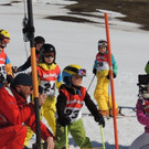 DSCN7631.jpg