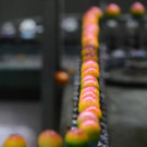 ABD0048-20140414.jpg