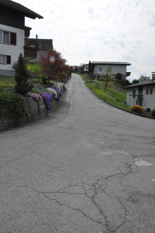 DSC_0004.JPG