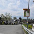 DSC_0007.JPG