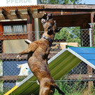 Rusty: Begeisterte Wasserratte sucht einen guten Einzelplatz